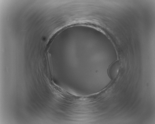 X0000061751497200512161703