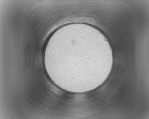 X0000061751498200512161703