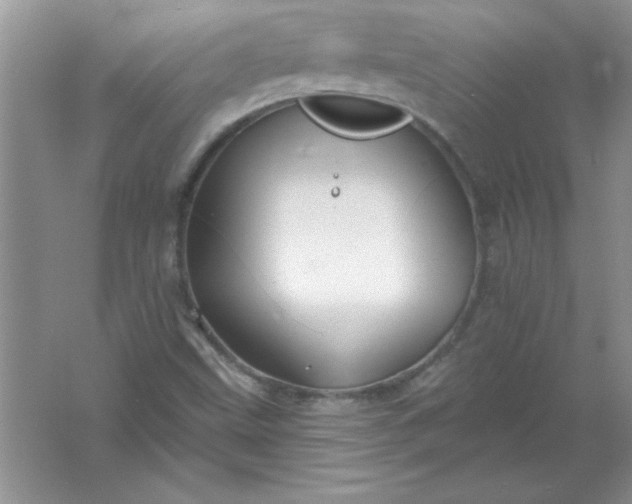 X0000061751499200512161703