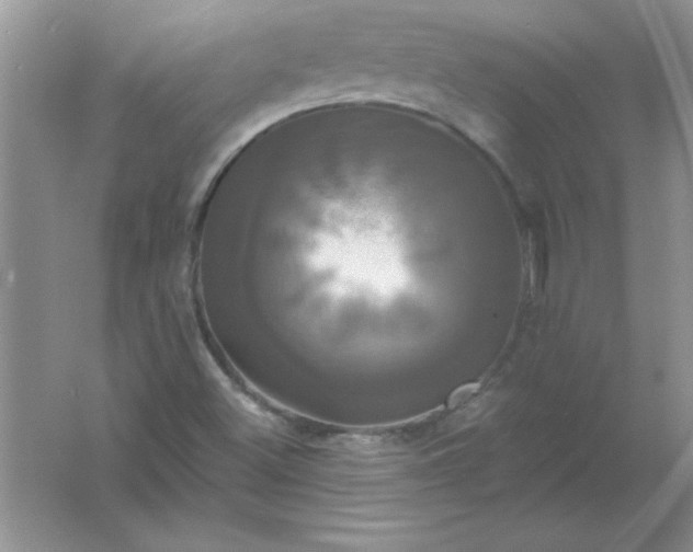 X0000061751500200512161703