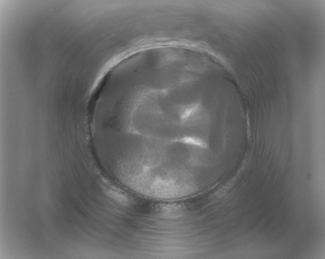 X0000061751501200512161703