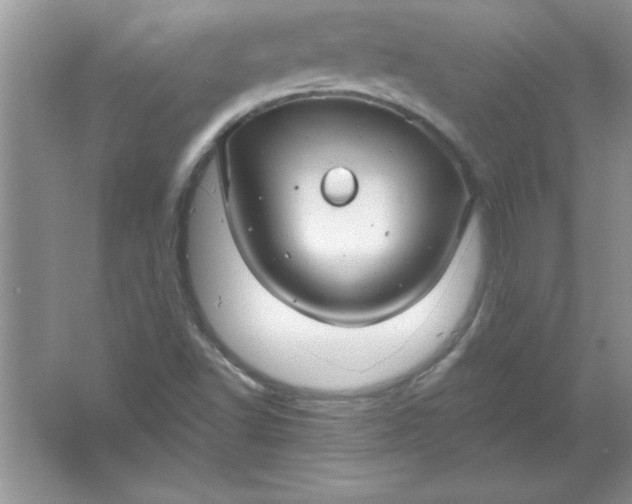 X0000061751502200512161703