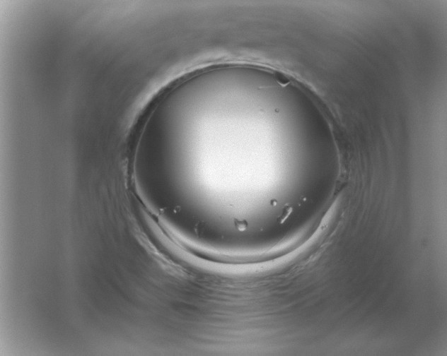 X0000061751503200512161703