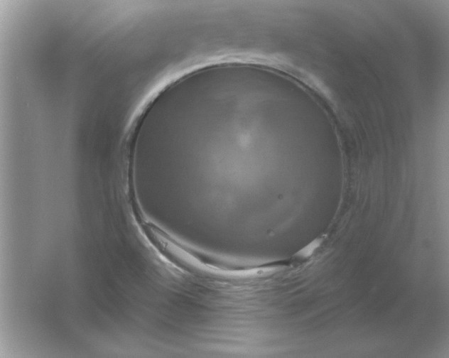 X0000061751504200512161703