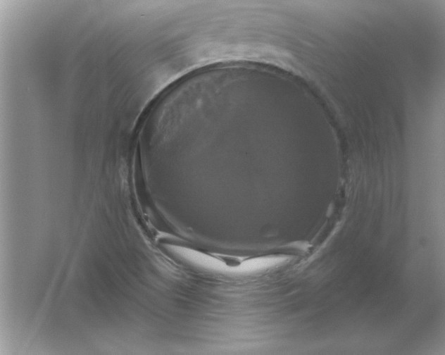 X0000061751505200512161703