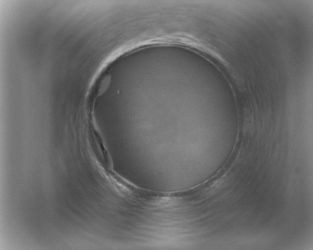 X0000061751506200512161703