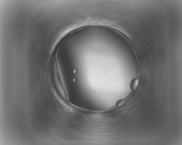 X0000061751507200512161703