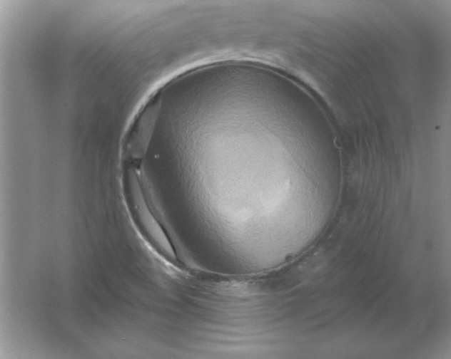 X0000061751508200512161703