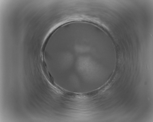 X0000061751509200512161703