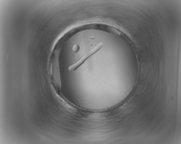 X0000061751510200512161703