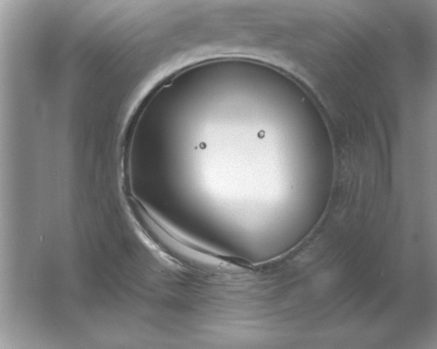 X0000061751511200512161703