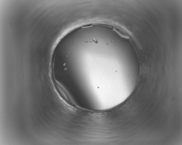 X0000061751512200512161703