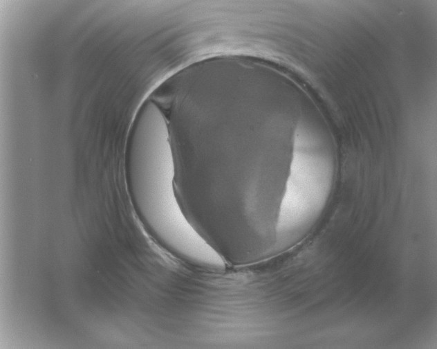 X0000061751513200512161703