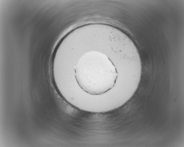 X0000061751514200512161703