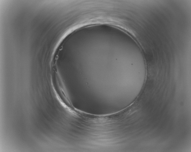 X0000061751515200512161703