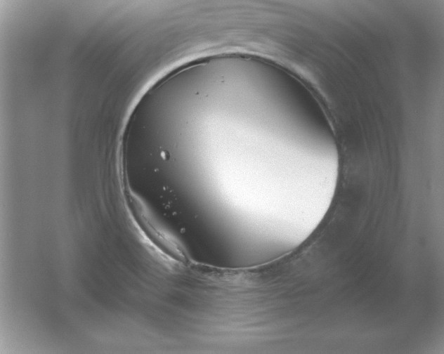 X0000061751516200512161703