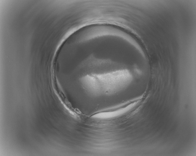 X0000061751517200512161703