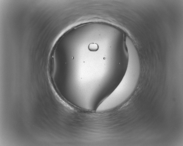 X0000061751518200512161703