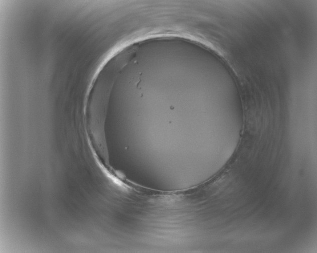 X0000061751519200512161703