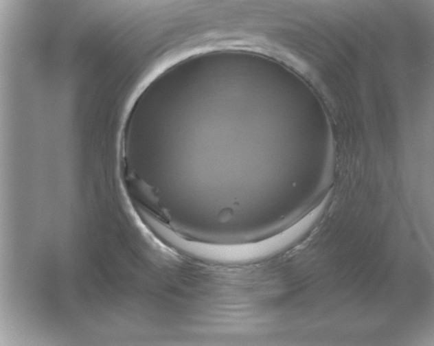 X0000061751520200512161703