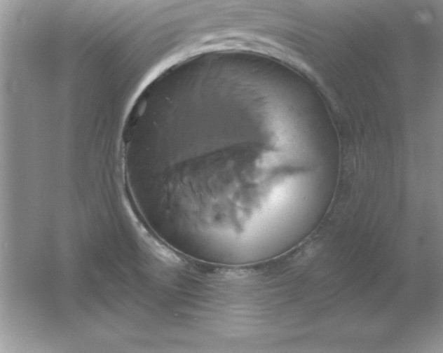 X0000061751522200512161703