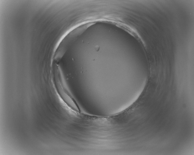 X0000061751524200512161703