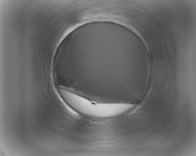 X0000061751525200512161703