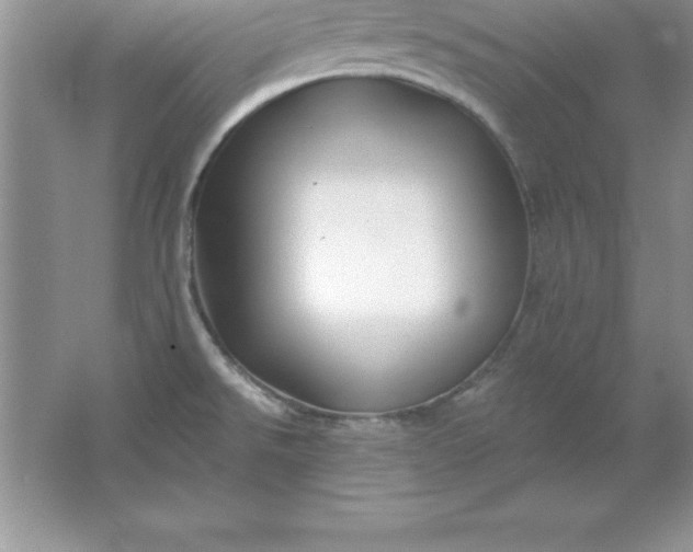 X0000061751526200512161703