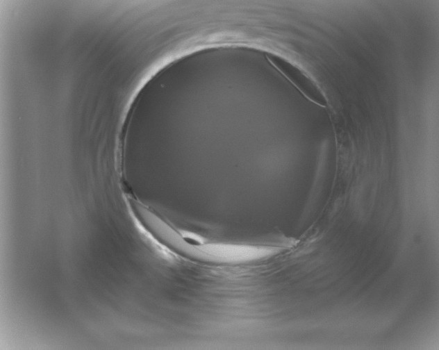 X0000061751527200512161703