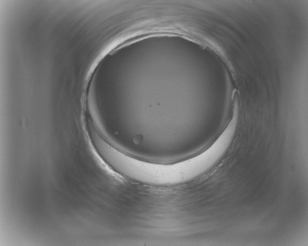 X0000061751528200512161703