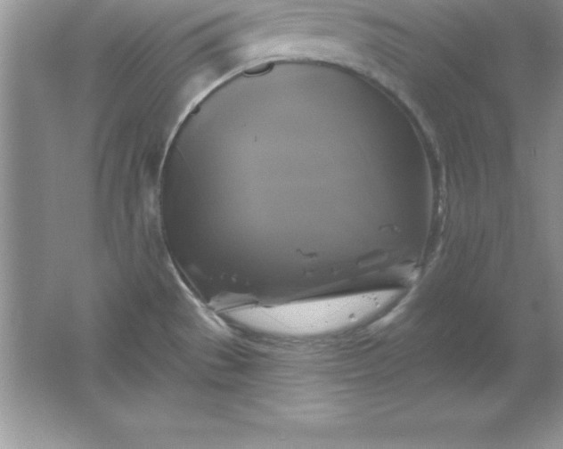 X0000061751529200512161703