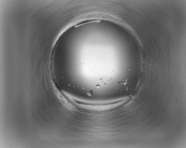 X0000061751530200512161703