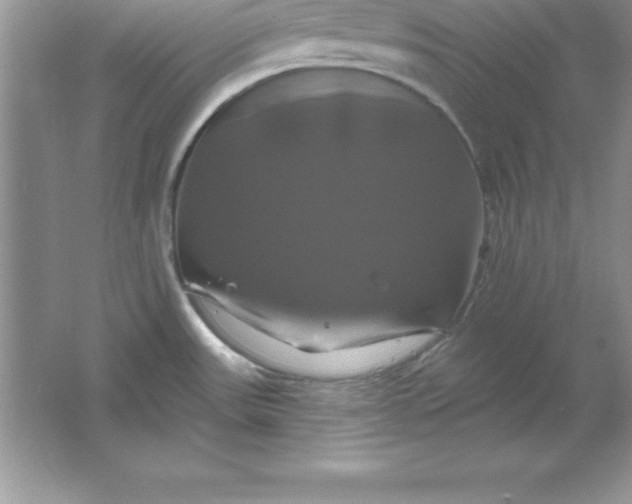 X0000061751531200512161703