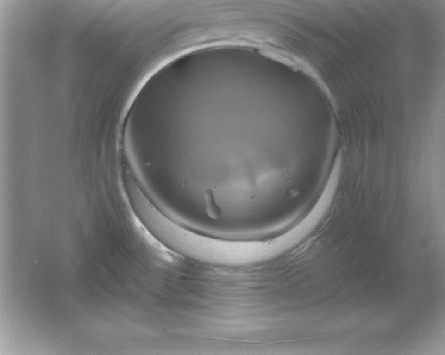 X0000061751532200512161703