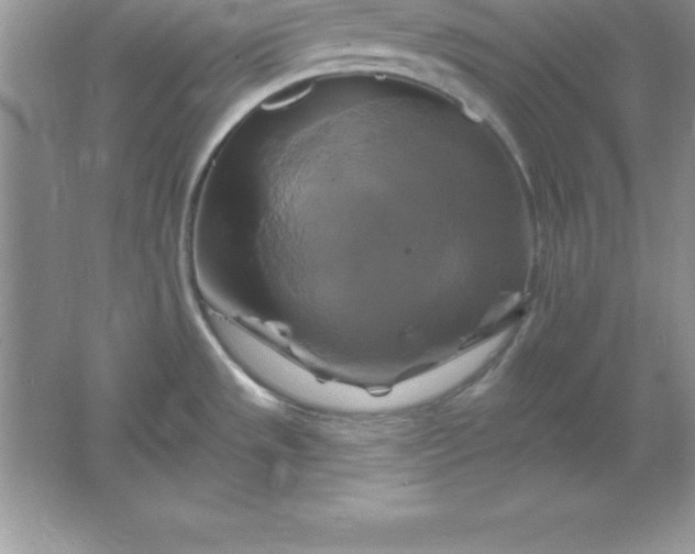 X0000061751533200512161703