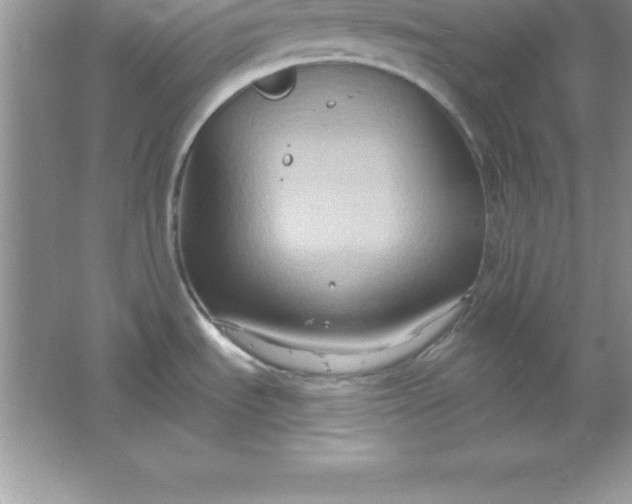 X0000061751535200512161703