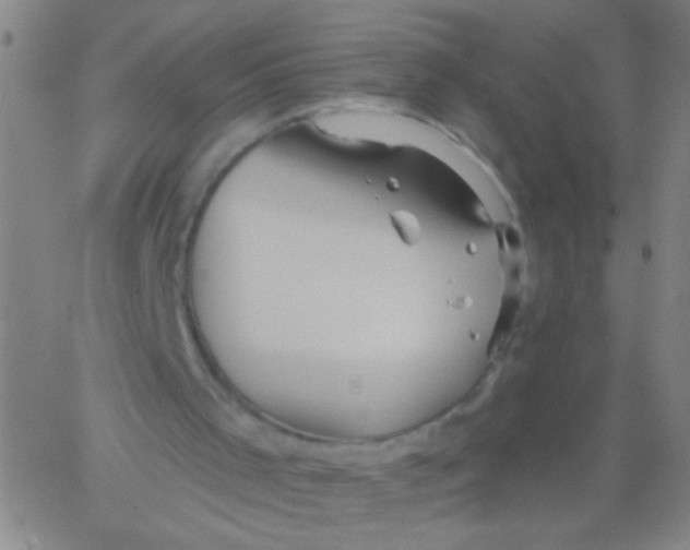 X0000061750001200512231537