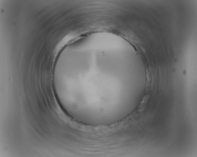 X0000061750003200512231537