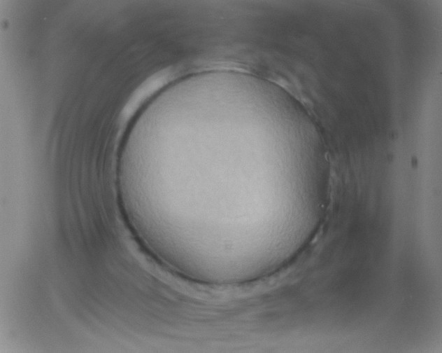 X0000061750006200512231537