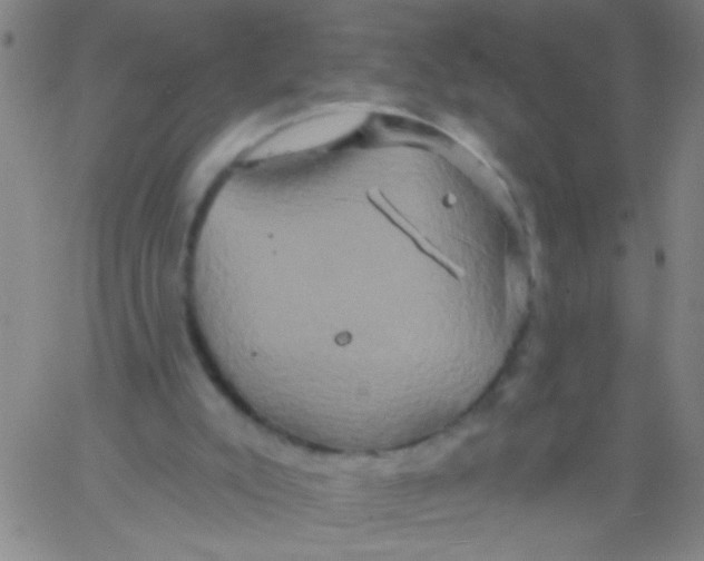 X0000061750007200512231537