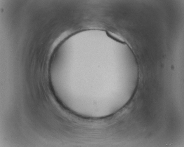 X0000061750008200512231537