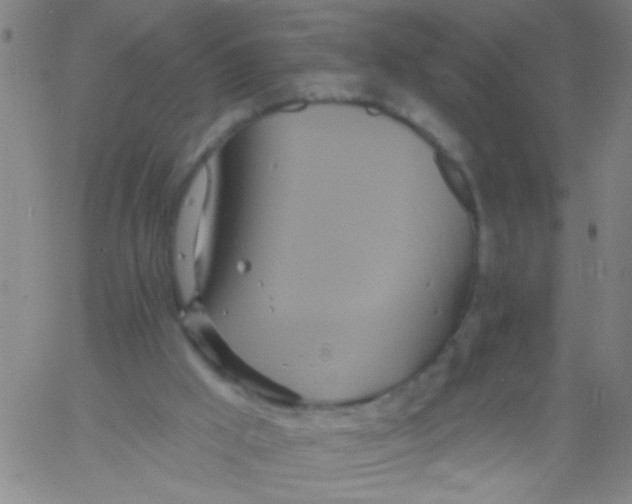 X0000061750009200512231537