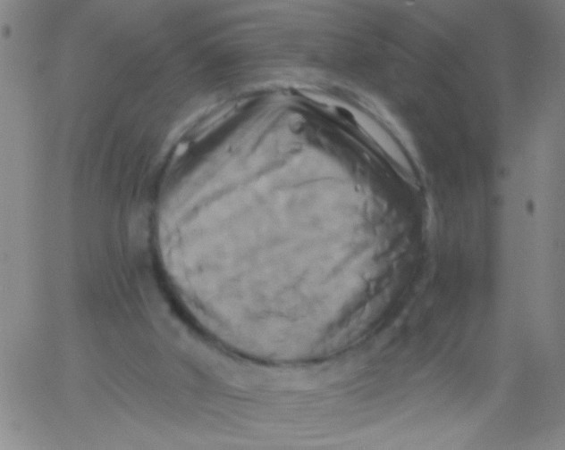 X0000061750010200512231537