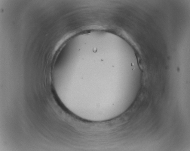 X0000061750011200512231537