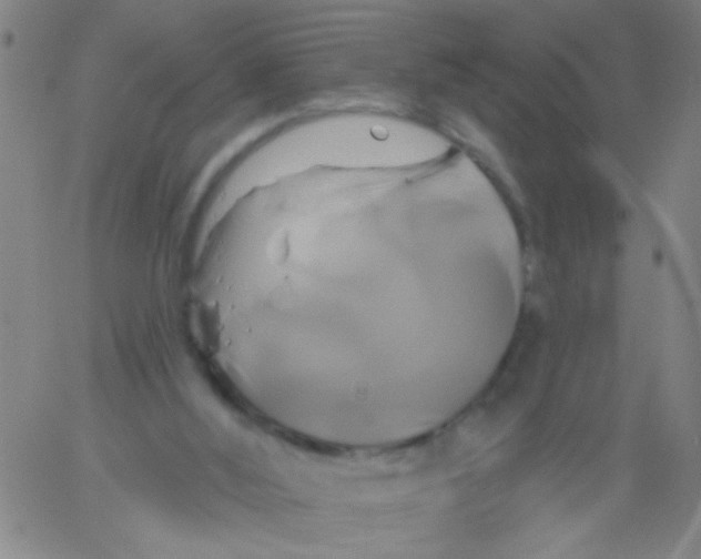 X0000061750012200512231537