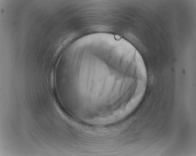 X0000061750014200512231537