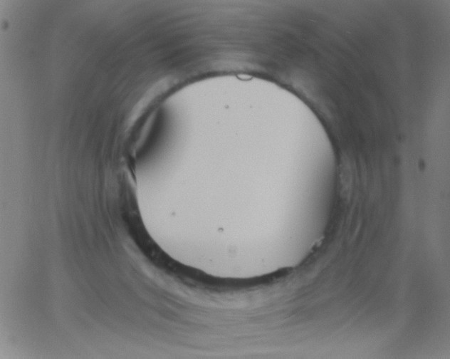 X0000061750015200512231537