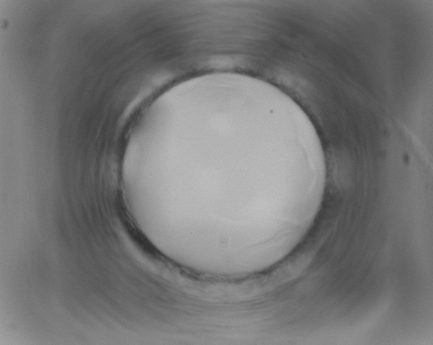 X0000061750016200512231537