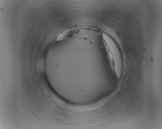 X0000061750017200512231537