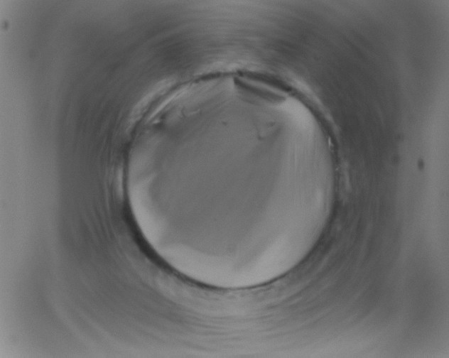 X0000061750019200512231537